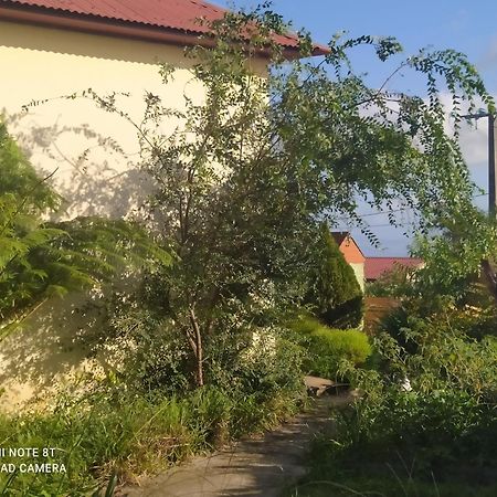 Petit Appartement Dans Une Maison Individuelle Le Tampon Dış mekan fotoğraf